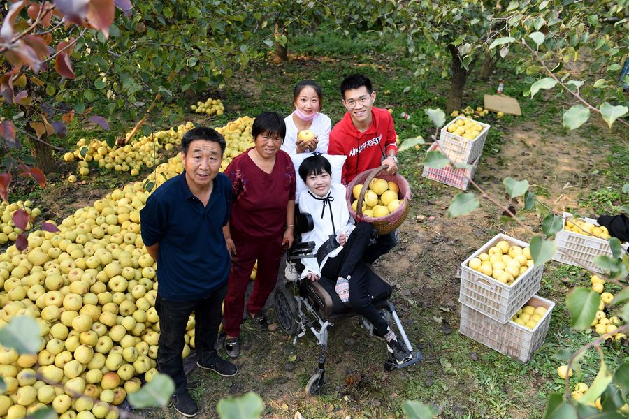 Alian?a de comércio eletr?nico ajuda a promo??o de produtos agrícolas das áreas chinesas afetadas pela pobreza