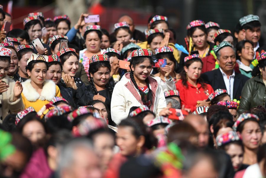 Especialistas chineses em direitos humanos condenam aprova??o do projeto de lei relacionado a Xinjiang pela Camara dos Deputados dos EUA