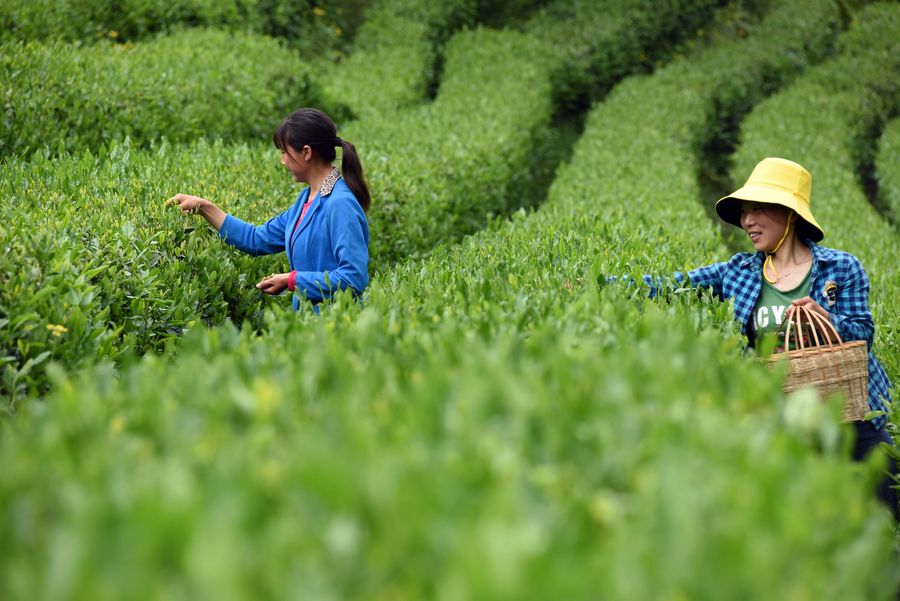 Observatório Econ?mico: China arrega?a as mangas para lidar com árduas tarefas do desenvolvimento rural em 2020