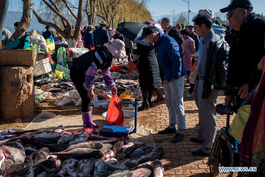 Yunnan: proibi??o de pesca suspensa temporariamente no lago Xingyun