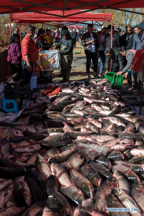 Yunnan: proibi??o de pesca suspensa temporariamente no lago Xingyun