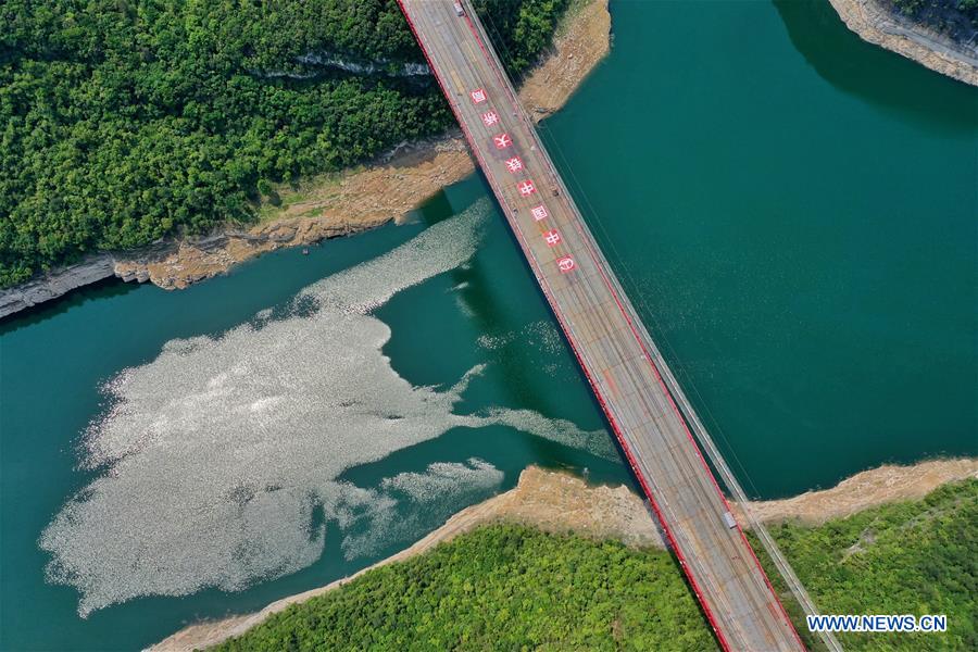 Galeria: Ponte Wujiang sobre Lago Feilong em constru??o em Guizhou

