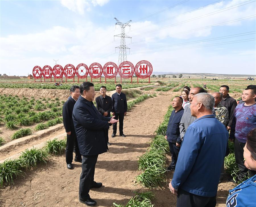  Xi enfatiza papel da agricultura de lírio-de-um-dia no alívio da pobreza