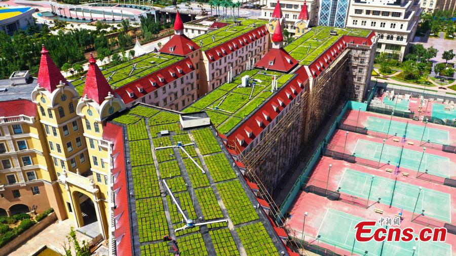 Galeria: Jardins de terra?o montados na escola em Zhengzhou