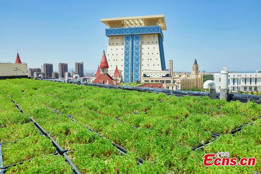 Galeria: Jardins de terra?o montados na escola em Zhengzhou