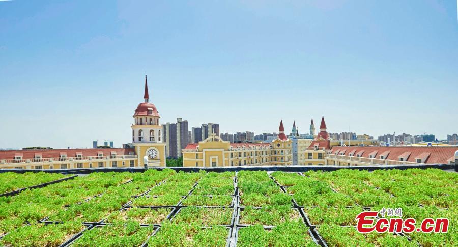 Galeria: Jardins de terra?o montados na escola em Zhengzhou