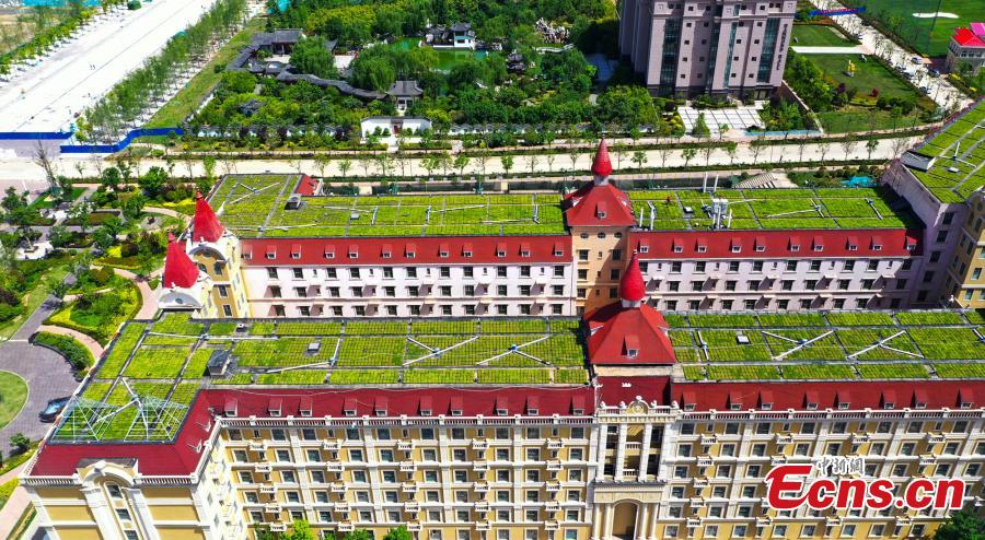 Galeria: Jardins de terra?o montados na escola em Zhengzhou