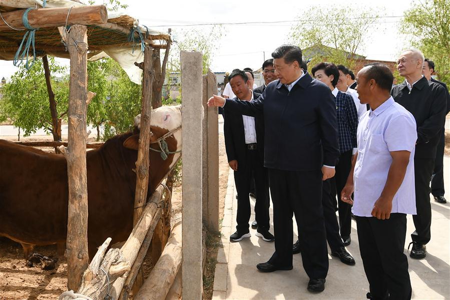 Xi destaca vitória na luta contra pobreza durante inspe??o em Ningxia

