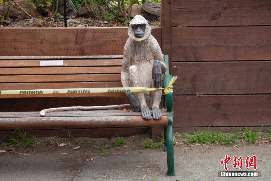 EUA: Zoológico de S?o Francisco reabre 