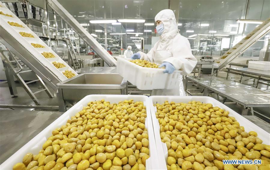 Comércio externo da China supera previs?es no primeiro semestre