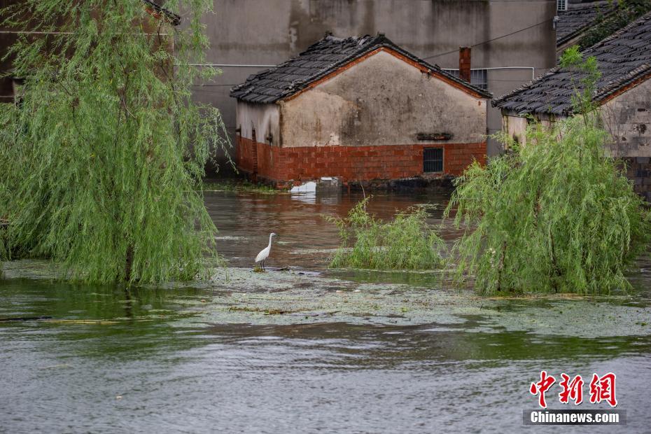 Inunda??es afetam 23,85 milh?es de pessoas na China