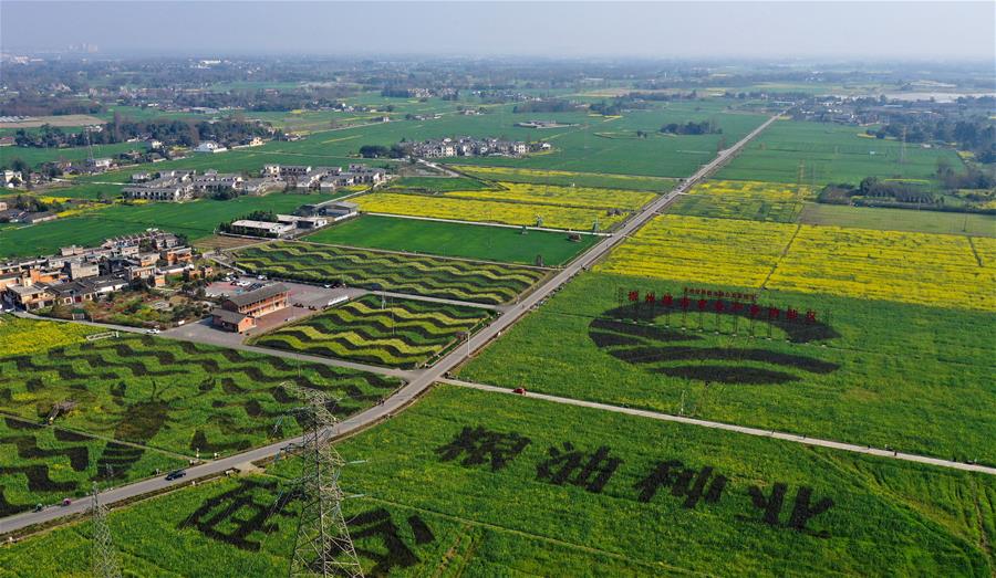Galeria: província de Sichuan realiza projetos para alcan?ar desenvolvimento rural integral
