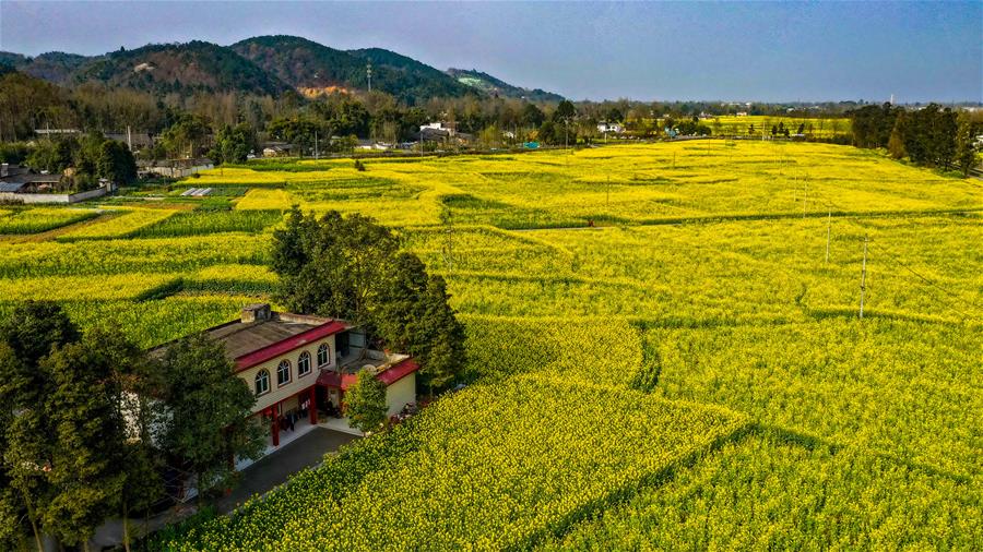 Galeria: província de Sichuan realiza projetos para alcan?ar desenvolvimento rural integral