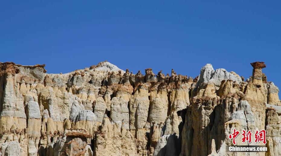 Galeria: geoparque florestal no Tibete

