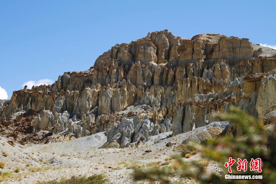 Galeria: geoparque florestal no Tibete


