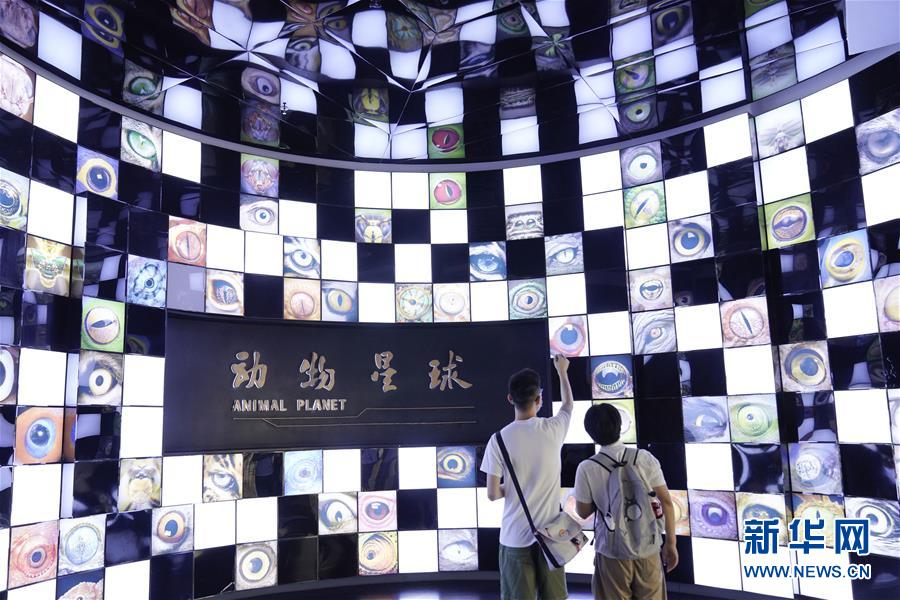 Galeria: Museu Natural de Chongqing