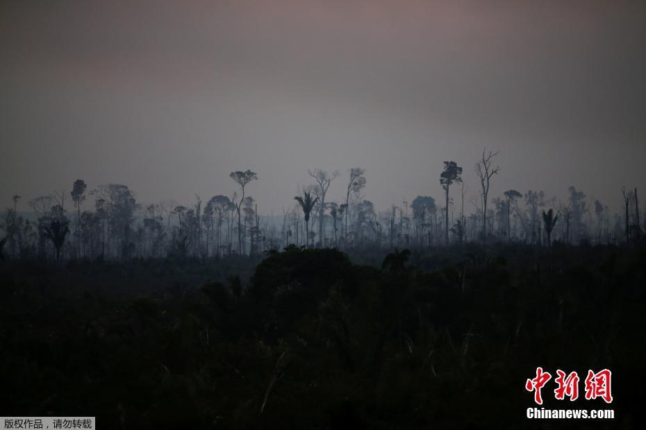 Amaz?nia registra aumento de incêndios em julho