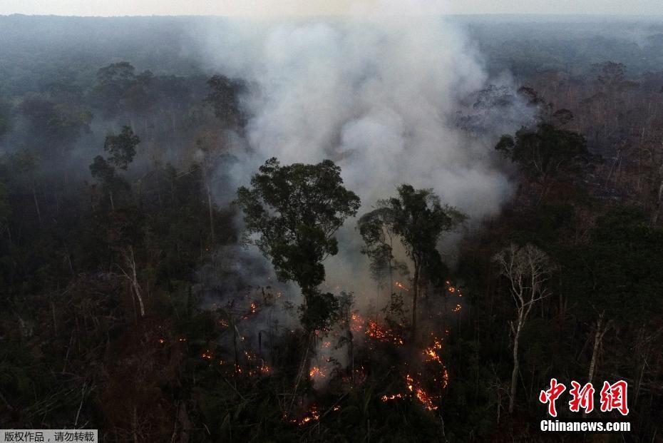 Amaz?nia registra aumento de incêndios em julho