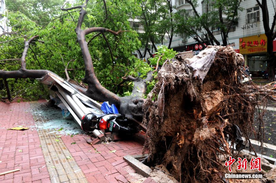 Fujian: Zhangzhou atingida pelo Tuf?o?Mekkhala 