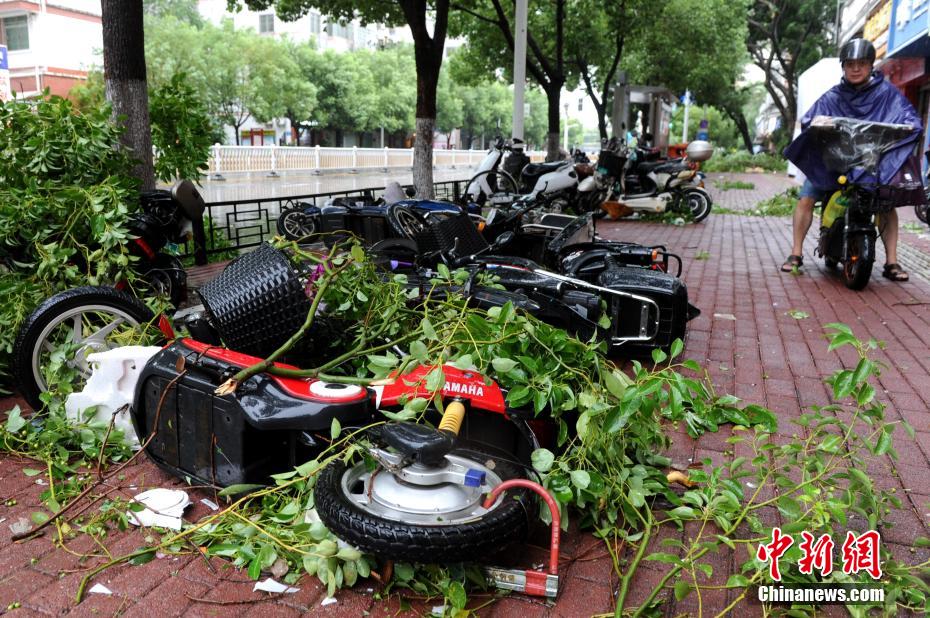 Fujian: Zhangzhou atingida pelo Tuf?o?Mekkhala 