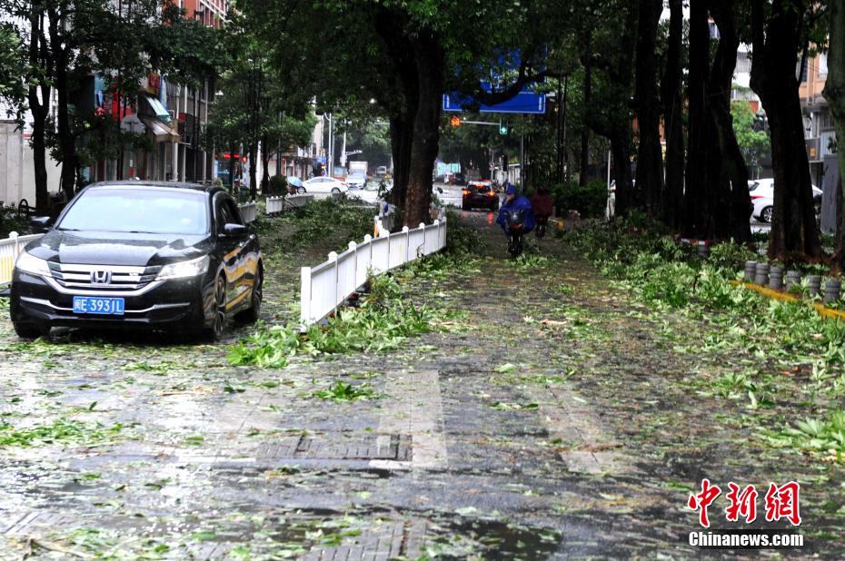 Fujian: Zhangzhou atingida pelo Tuf?o?Mekkhala 