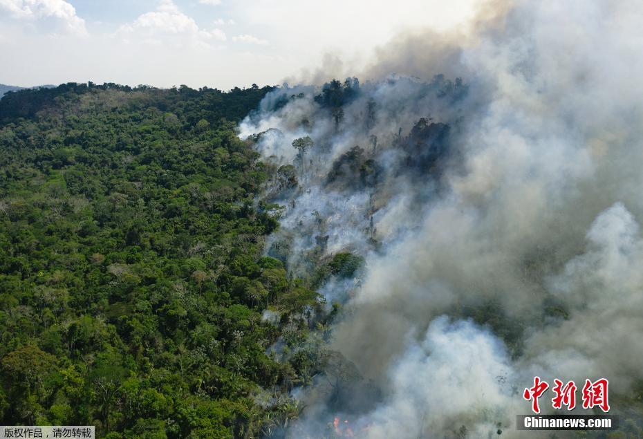 Incêndio na floresta amaz?nica no Brasil continua, com densa fuma?a
