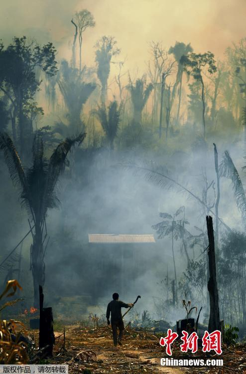 Incêndio na floresta amaz?nica no Brasil continua, com densa fuma?a