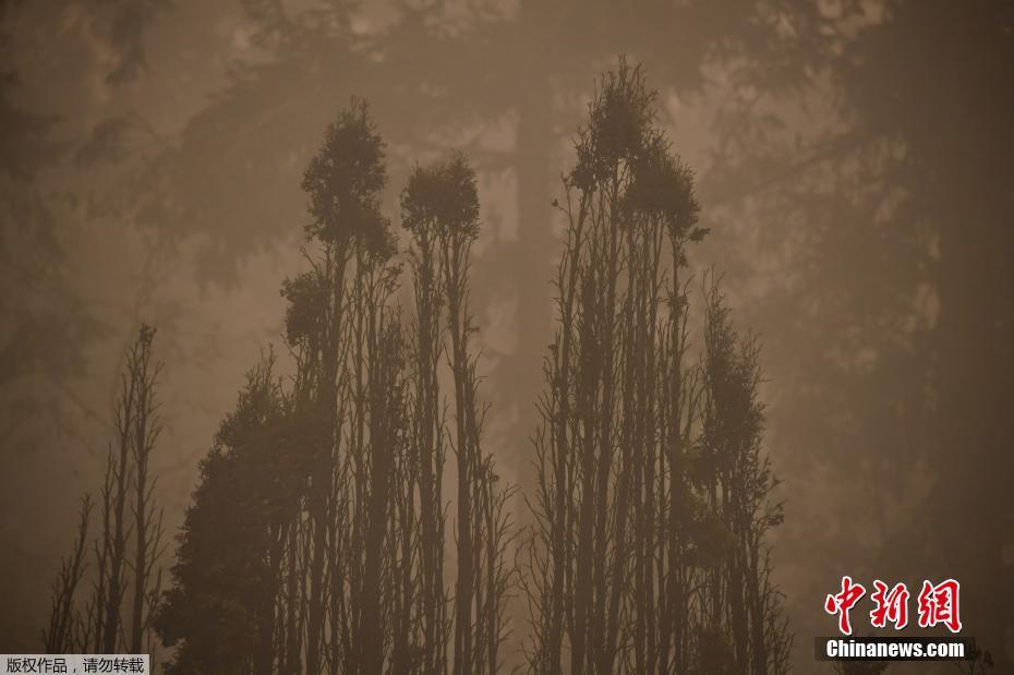 EUA: incêndio florestal no estado de Oregon continua consumindo milhares de habita??es
