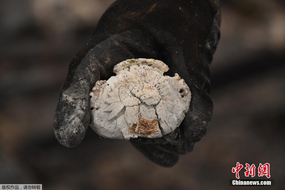 EUA: incêndio florestal no estado de Oregon continua consumindo milhares de habita??es