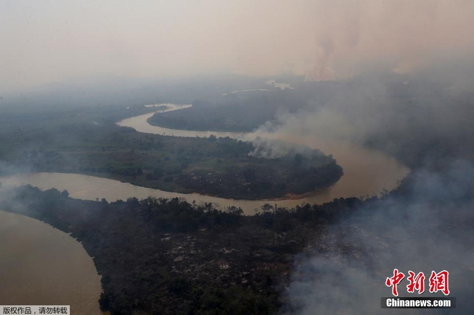 A maior área húmida no mundo tem recorde de incêndio, amea?ando espécies em extins?o