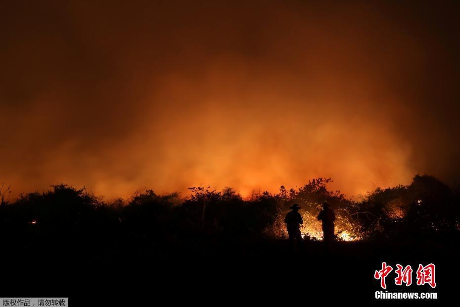 A maior área húmida no mundo tem recorde de incêndio, amea?ando espécies em extins?o