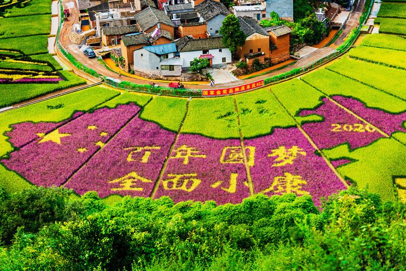Galeria: arrozal colorido em Yunnan desperta aten??o de curiosos

