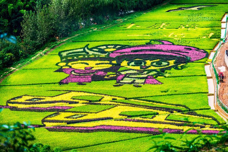 Galeria: arrozal colorido em Yunnan desperta aten??o de curiosos


