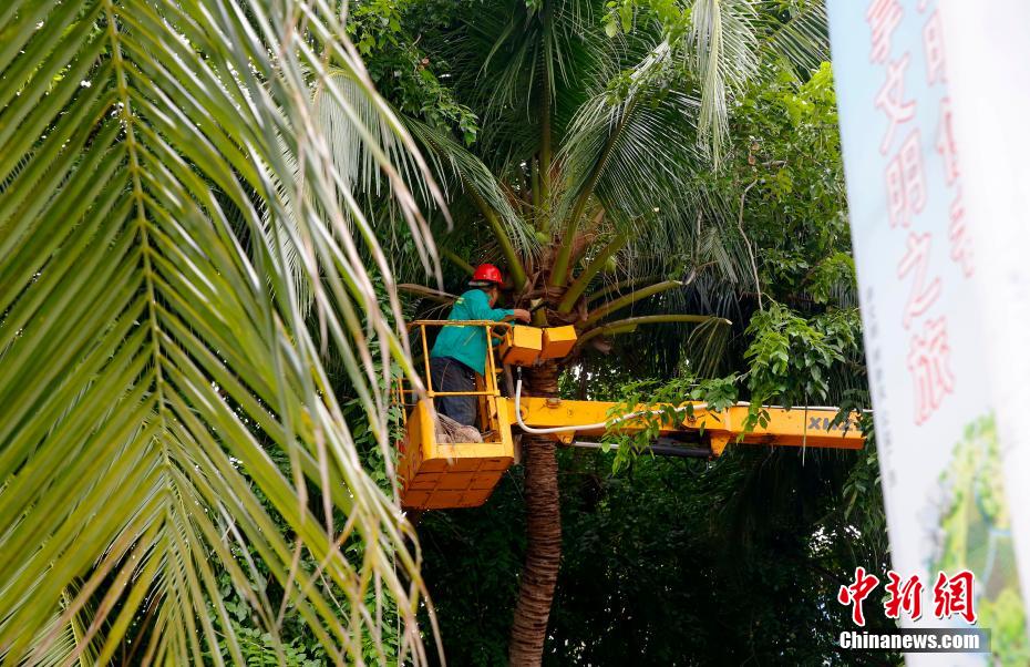 Sanya fecha pontos turísticos e escolas por tuf?o Nangka