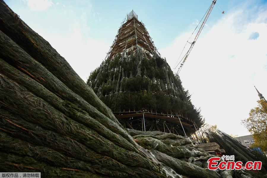 Constru??o de árvore de Natal na Alemanha será interrompida devido à pandemia