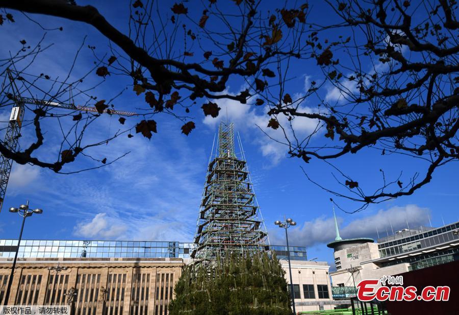 Constru??o de árvore de Natal na Alemanha será interrompida devido à pandemia
