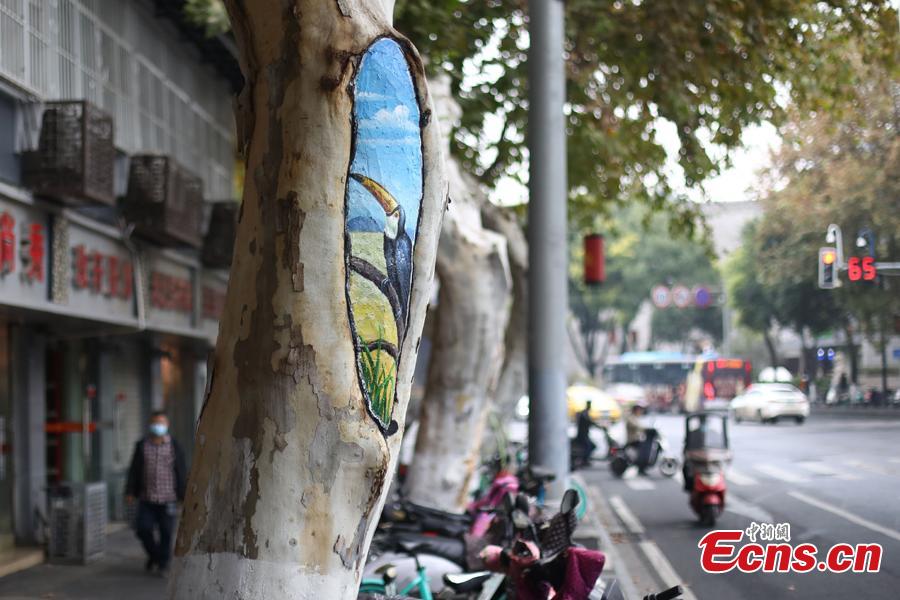 Nanjing: gravuras de animais nas árvores da cidade entretêm locais