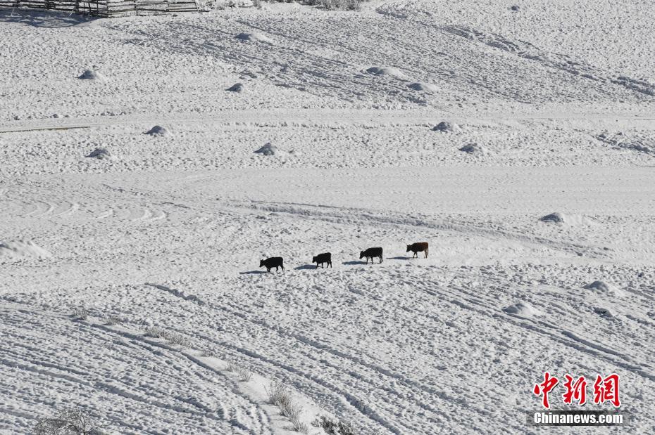 Yunnan: paisagem estonteante de Shangri-la após queda de neve