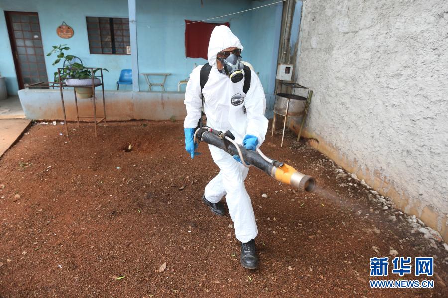 Ministério da Saúde do Brasil lan?a campanha de combate e preven??o ao mosquito Aedes aegypti