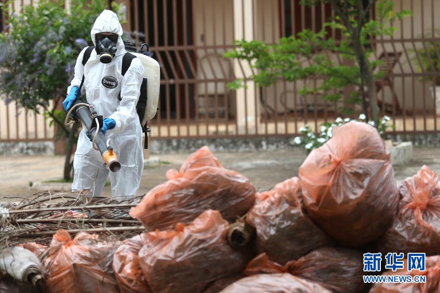 Ministério da Saúde do Brasil lan?a campanha de combate e preven??o ao mosquito Aedes aegypti