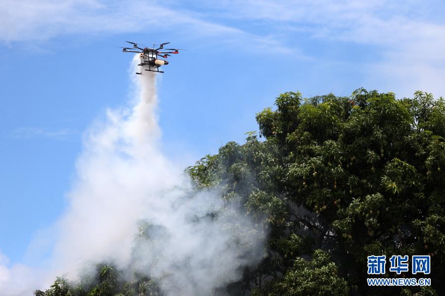 Ministério da Saúde do Brasil lan?a campanha de combate e preven??o ao mosquito Aedes aegypti