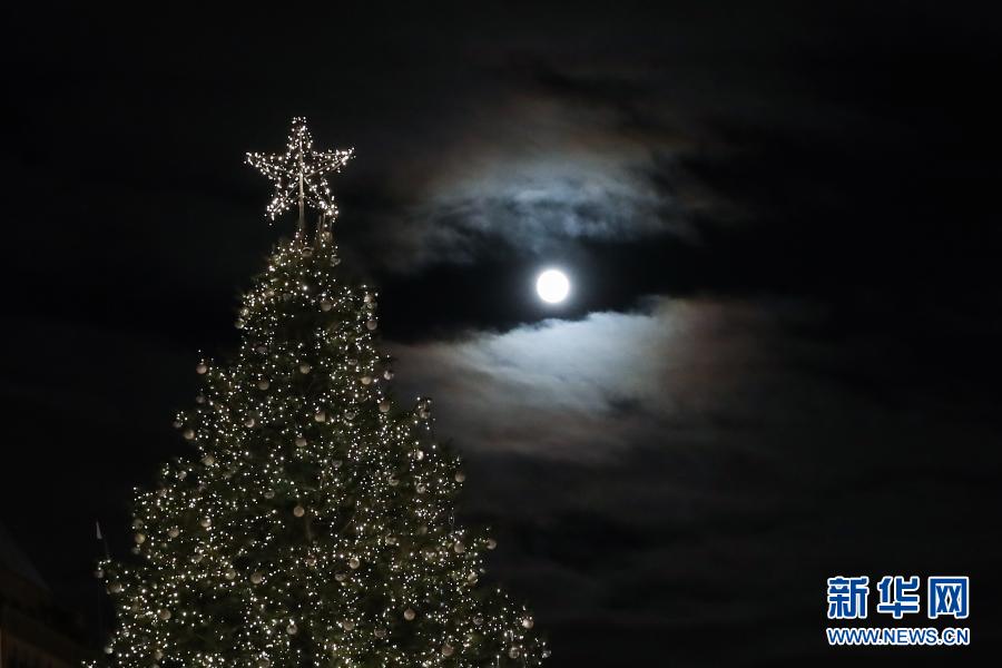 Luzes de árvore de Natal s?o acesas em Berlim