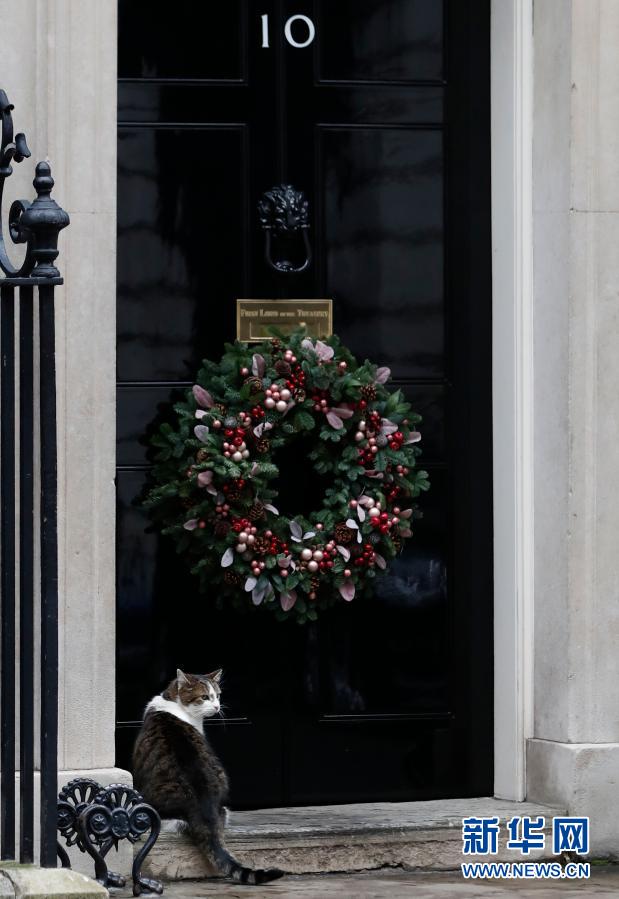 Inglaterra tem gato ca?ador de ratos “oficial”