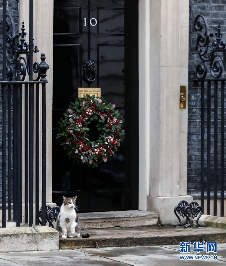 Inglaterra tem gato ca?ador de ratos “oficial”
