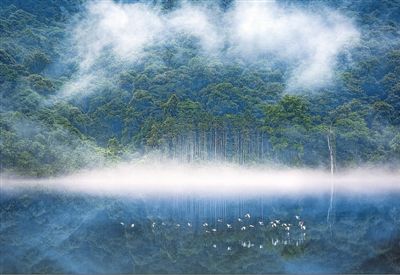 Sanming, modelo de preserva??o ecológica no sudeste da China