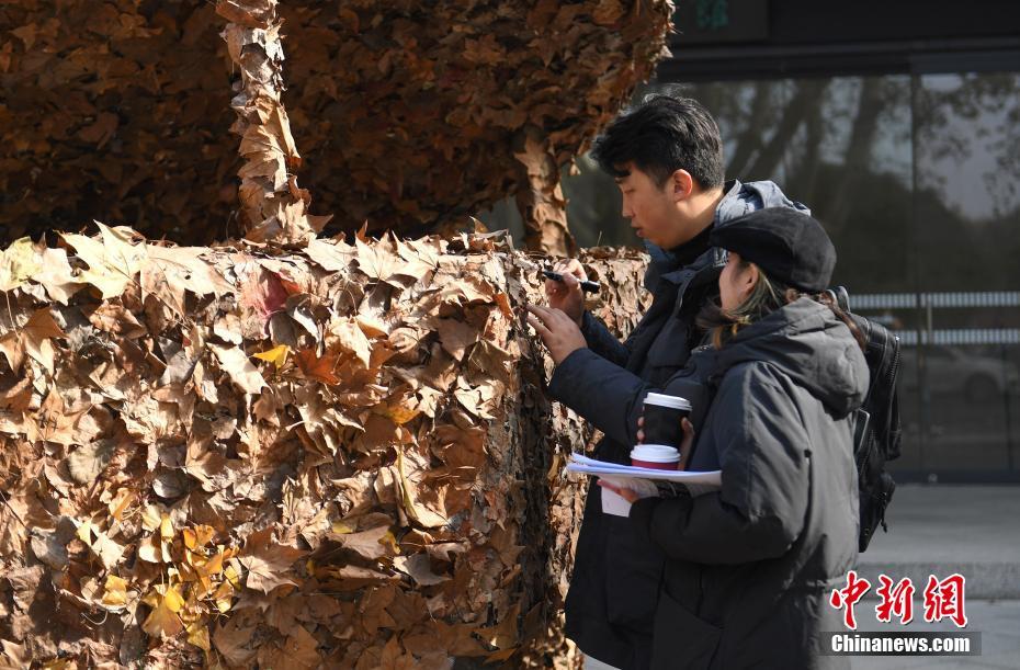 Hangzhou lan?a instala??o artística de folhas outonais 