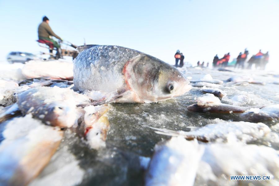 Xinjiang inaugura esta??o de pescas de inverno