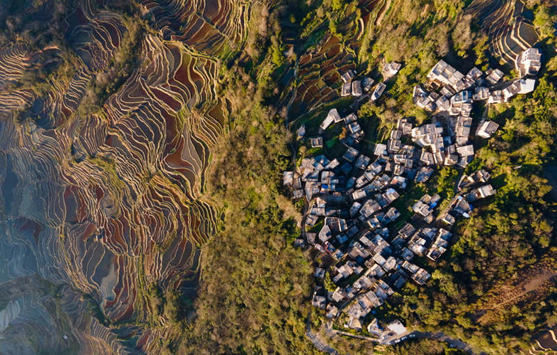 Galeria: arrozais?de Honghe?Hani, Yunnan