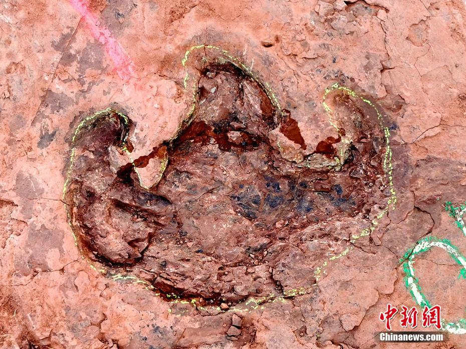 Província descobre o maior número de pegadas de dinossauros na China até hoje