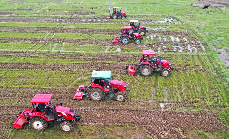 China constrói mais de 5,59 milh?es de hectares de terra cultivável de alto padr?o em 2020